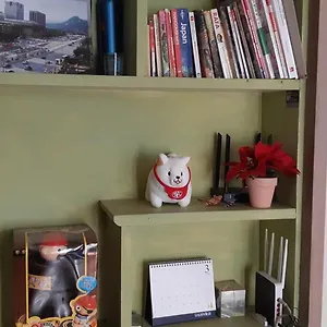 Birdsnest Hongdae Foreigner Only , Сеул Южная Корея